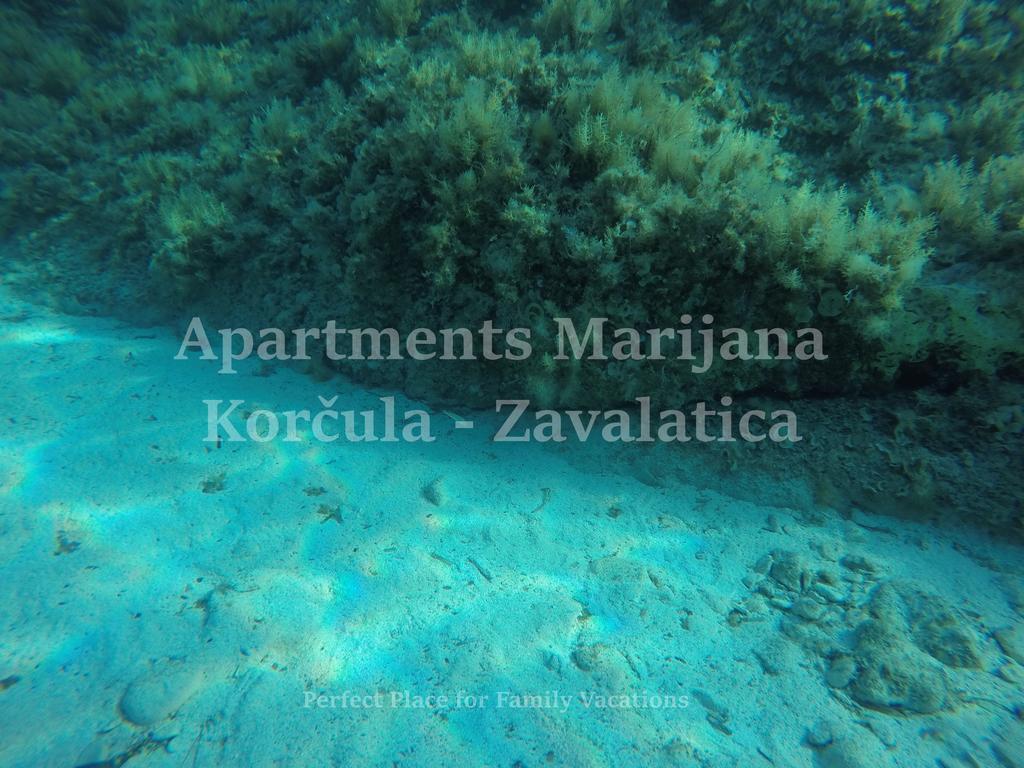 Apartments Marijana Zavalatica Exterior foto
